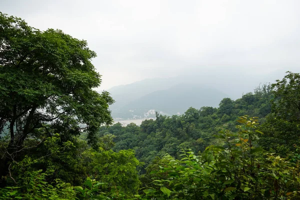 Dağlı Güzel Orman Görüntüsü — Stok fotoğraf