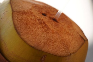 Hindistan cevizi suyu resmi kapat