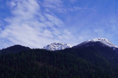 Ağaçlı bir dağın güzel manzarası