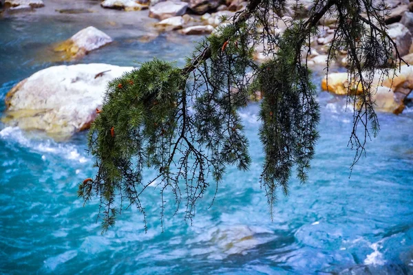 Vista Cachoeira Himachal Pradesh Imagem — Fotografia de Stock