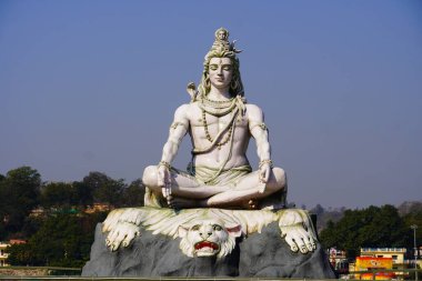 Meditasyon resimlerindeki Tanrı Shiva.