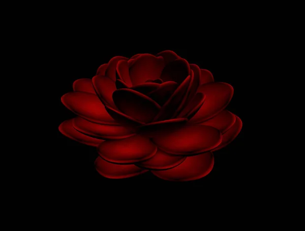 Close View Red Rose Image Роза Черном Фоне — стоковое фото