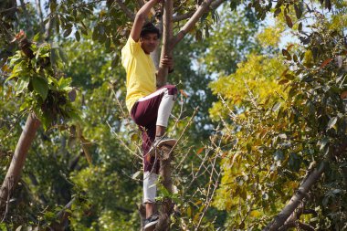 Küçük sarışın çocuk ağaca tırmanıyor.