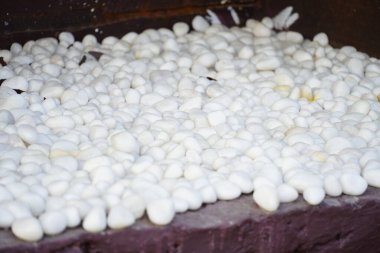 Duvar pedalları için bir sürü beyaz küçük çakıl taşı taşı