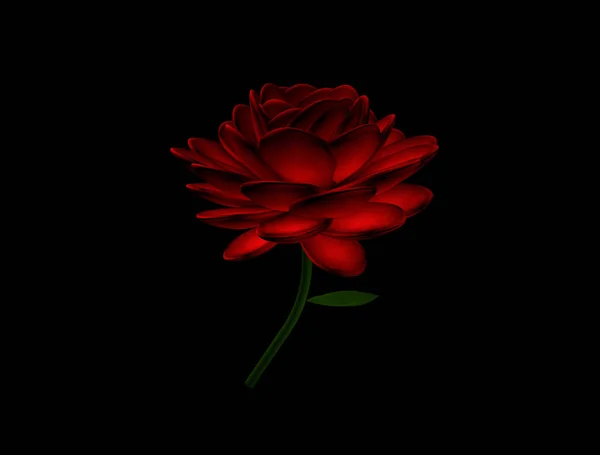 Dark Rose Image Rose Черном Фоне — стоковое фото