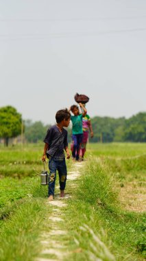 indian farmer's family in the farm