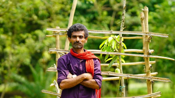 indian farmer with mango tree in the farm