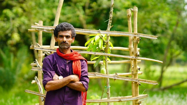 Indian Farmer Mango Tree Farm — Fotografia de Stock