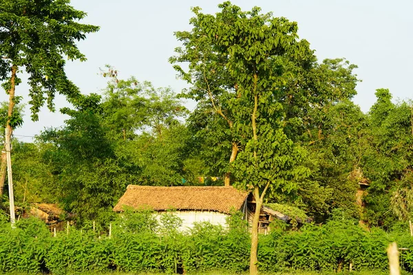 Pemandangan Rumah Petani Yang Indah Desa — Stok Foto