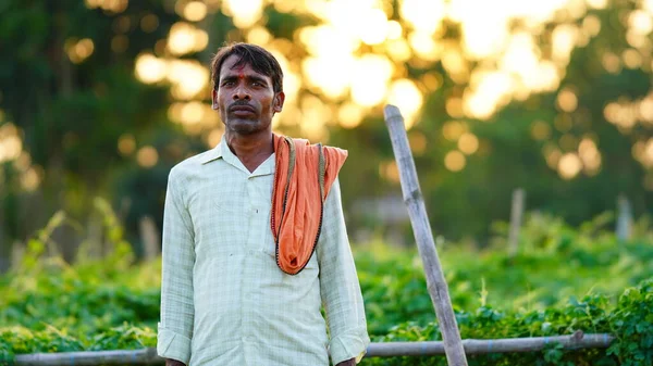 Belo Retrato Dramático Agricultor Feliz Rural Indiano Campo Vestindo Calça — Fotografia de Stock