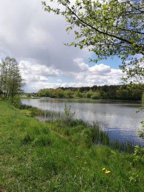 Ağaçlarla kaplı yaz manzarası ve nehirdeki bulutların yansıması.