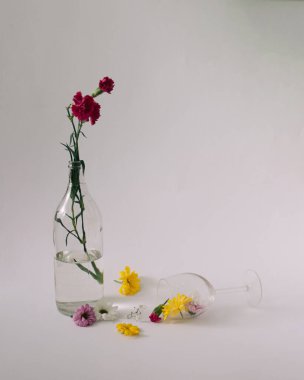 Beyaz arka planda şarap kadehi, şişe ve bahar çiçekleri ile yaratıcı bir düzenleme. Asgari doğa kavramı.