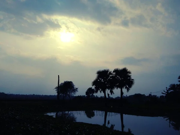 Prachtige Landschappen Zonlicht Het Water Bomen Naast Vijver Het Bijna — Stockfoto