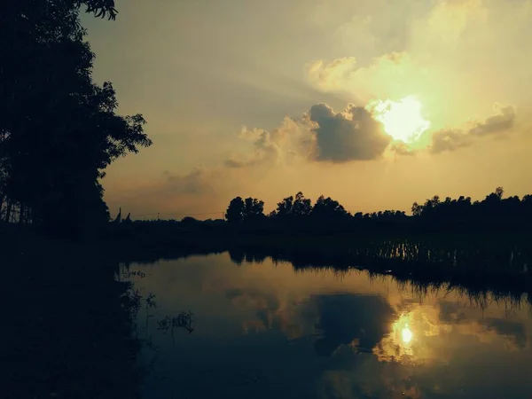 Uiterst Mooie Landschapsfoto Van Bomen Avond Het Zonlicht Boven Boomkop — Stockfoto