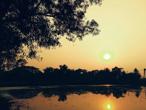 夕方の木々や木の頭や水の上の太陽の光の非常に美しい風景の写真 ストック写真