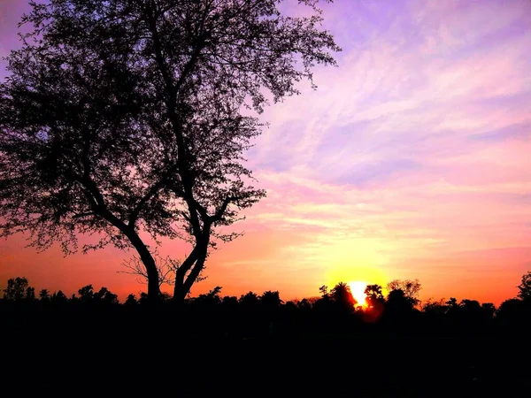 Scenari Straordinari Stanno Accadere Sera Quindi Natura Sta Assumere Una — Foto Stock