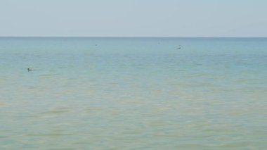 Deniz ve gökyüzü manzarası. Yaz manzarası. Bolca su. Doğanın dokusu