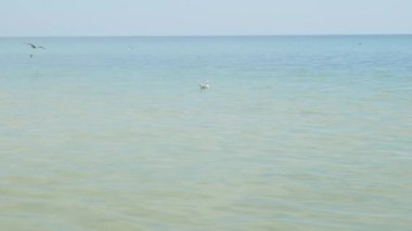 Deniz ve gökyüzü manzarası. Güzel deniz manzarası. Yavaş çekim doğası