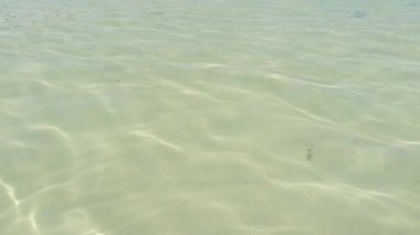 Açık deniz suyunun arka planı. Doğa geçmişi. Doğanın ağır çekim gücü. deniz dokusu
