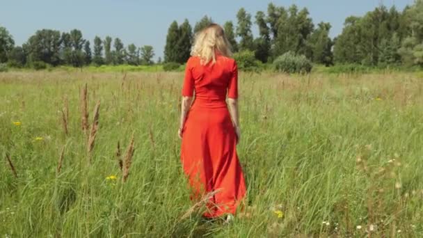 Vista Trasera Una Mujer Vestido Rojo Caminando Por Campo Movimiento — Vídeos de Stock