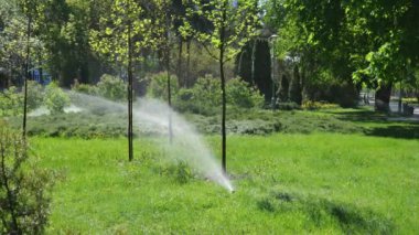 Birkaç su püskürtüsü parktaki çimenleri ve ağaçları sular. Yaz sıcağı. Yavaş hareket eden su. Güzel doğal park.