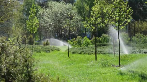 Podlewanie Pięknego Zielonego Parku Mnóstwo Różnych Roślin Woda Wolnoobrotowa — Wideo stockowe
