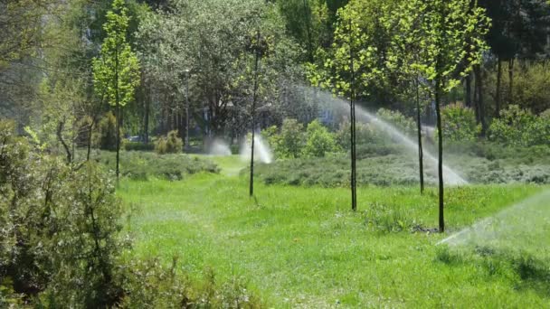 Промывание Травы Деревьев Городском Парке Летом Медленное Движение Воды Брызги — стоковое видео