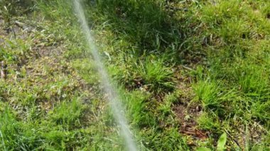 Bir su püskürtüsü şehir parkındaki yeşil çimleri sular. Yeşil çimen arka planı. Yavaş çekim suyu