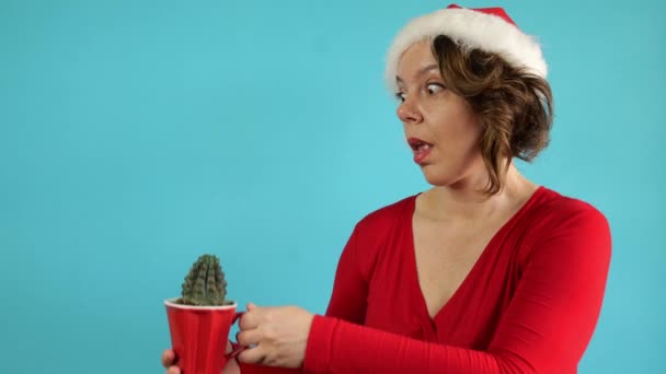 Eine Frau Rotem Pullover Und Neujahrsmütze Hält Einen Grünen Kaktus — Stockvideo