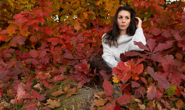 Una Mujer Joven Suéter Blanco Sienta Entre Follaje Rojo Otoño —  Fotos de Stock