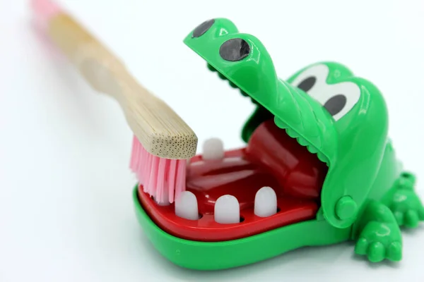 crocodile brushing its teeth with a bamboo brush