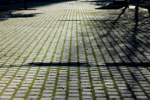 Cobblestone floor with grass in the city.