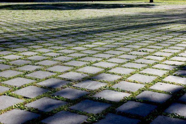 Cobblestone floor with grass in the city — Stock Photo, Image