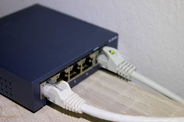 Internetkablar anslutna i en signalmultiplikator. — Stockfoto