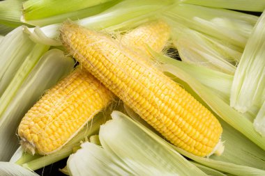 corn on the cob on the table, sweet corn.