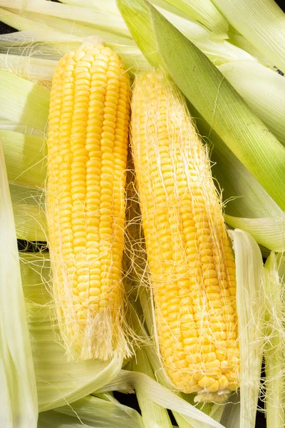 corn on the cob on the table, sweet corn.