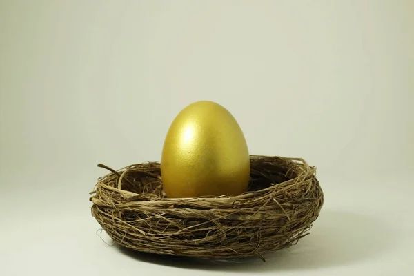 Golden Egg Nest White Background — Stock Photo, Image