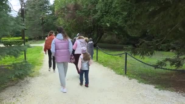 Een groep mensen slentert door het voorjaarspark — Stockvideo