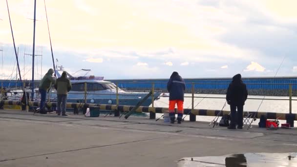 Fischer fangen an einem sonnigen Tag Fische in der Hafenstadt, einem Weitwinkel — Stockvideo