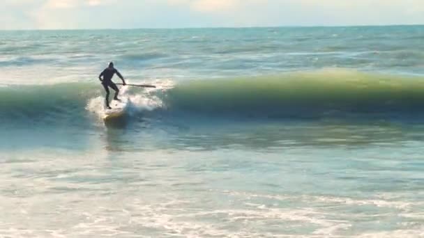 Een eenzame surfer stormt op een golf in het zonlicht en valt in het water — Stockvideo