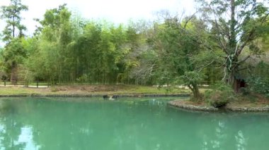 Parkta turkuaz suyu olan gölün manzarası.