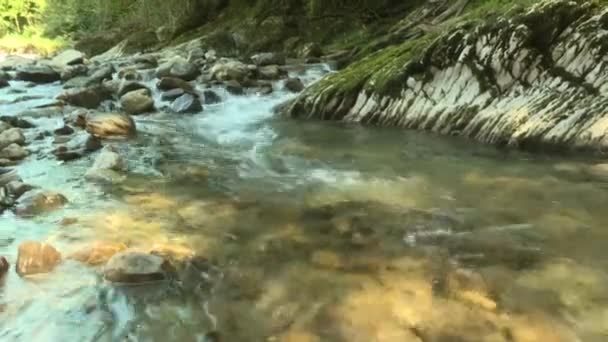Κατώφλι σε ένα βραχώδες βουνό ποτάμι, καθαρό νερό σπάει μέσα από τις πέτρες — Αρχείο Βίντεο