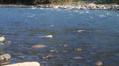 Bir dağ nehrinin akışı