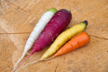 Farklı türde havuçlar kütüğün üzerinde duruyor.