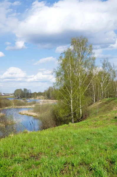 Paisaje Primaveral Con Abedules Orillas Del Río Uchi Región Moscú —  Fotos de Stock