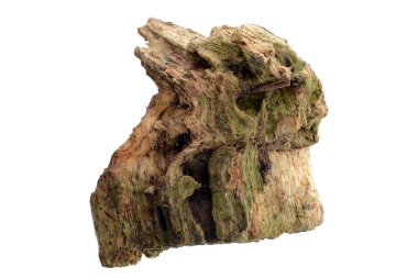 İzole saplama günlük kabuk ahşap doku ile