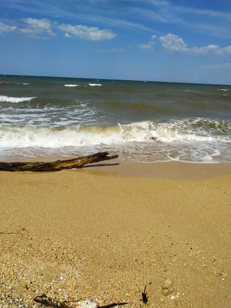 Knagen Aan Kust — Stockfoto