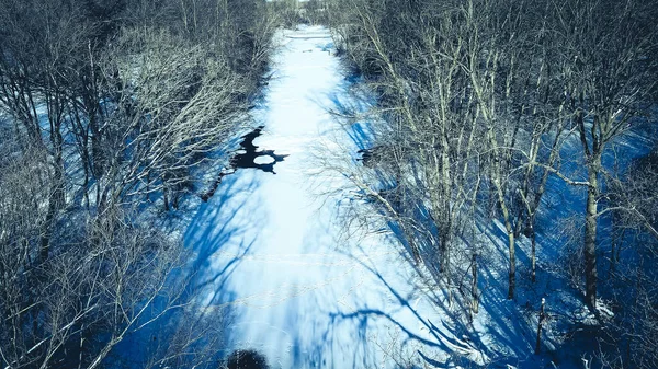 나무와 숲으로 뒤덮인 풍경의 얼어붙은 — 스톡 사진