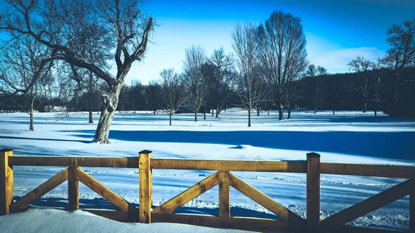 氷結したフェンスの上の冬の風景 — ストック写真