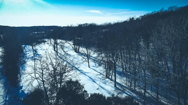 Fryst Vinterlandskap Över Träden — Stockfoto